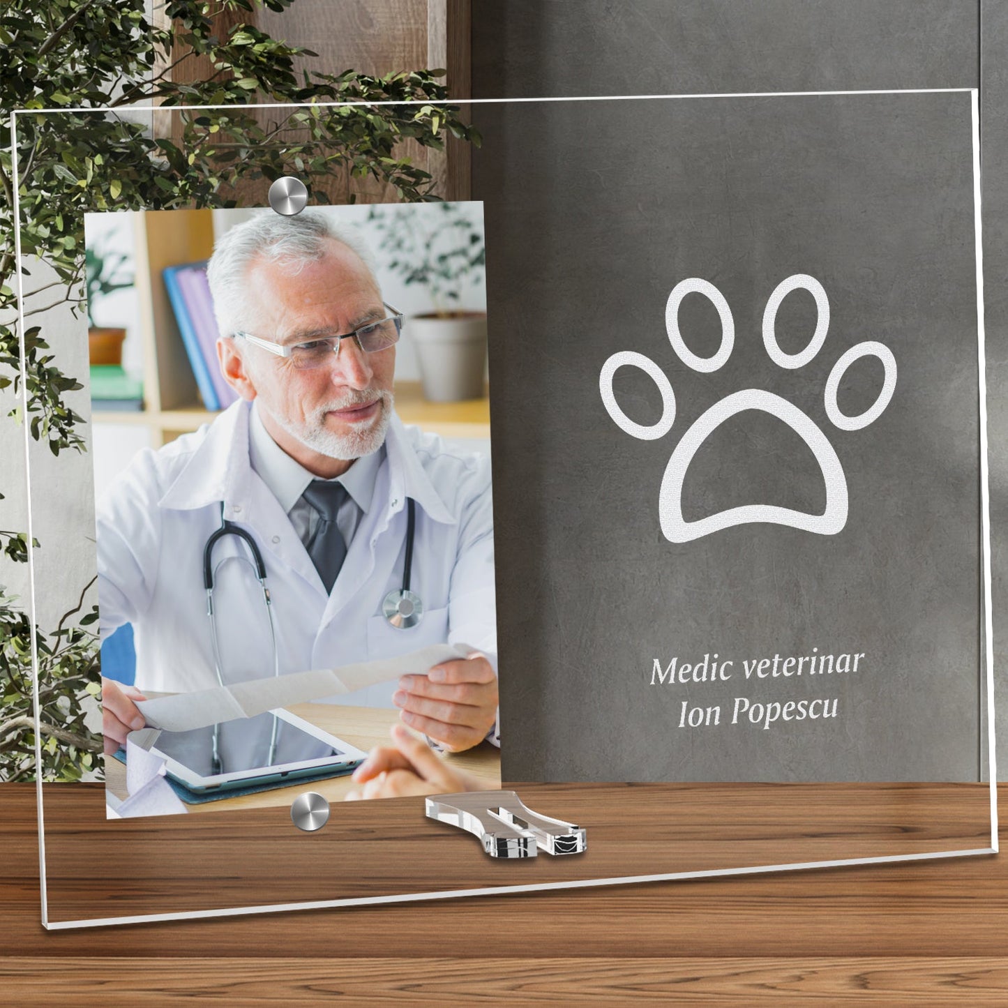 Cadou personalizat rama plexiglas - Doctor veterinar - ghizbi.ro